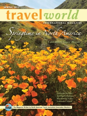 TWI Spring 2019 Cover