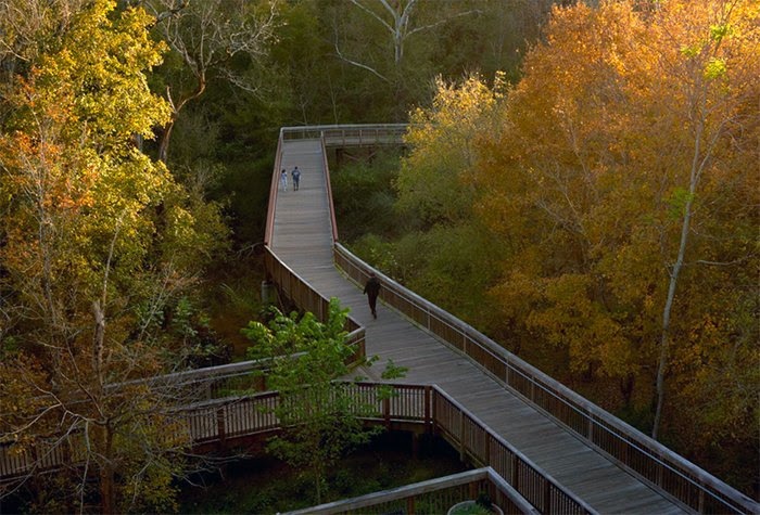 Hillsborough River Walk