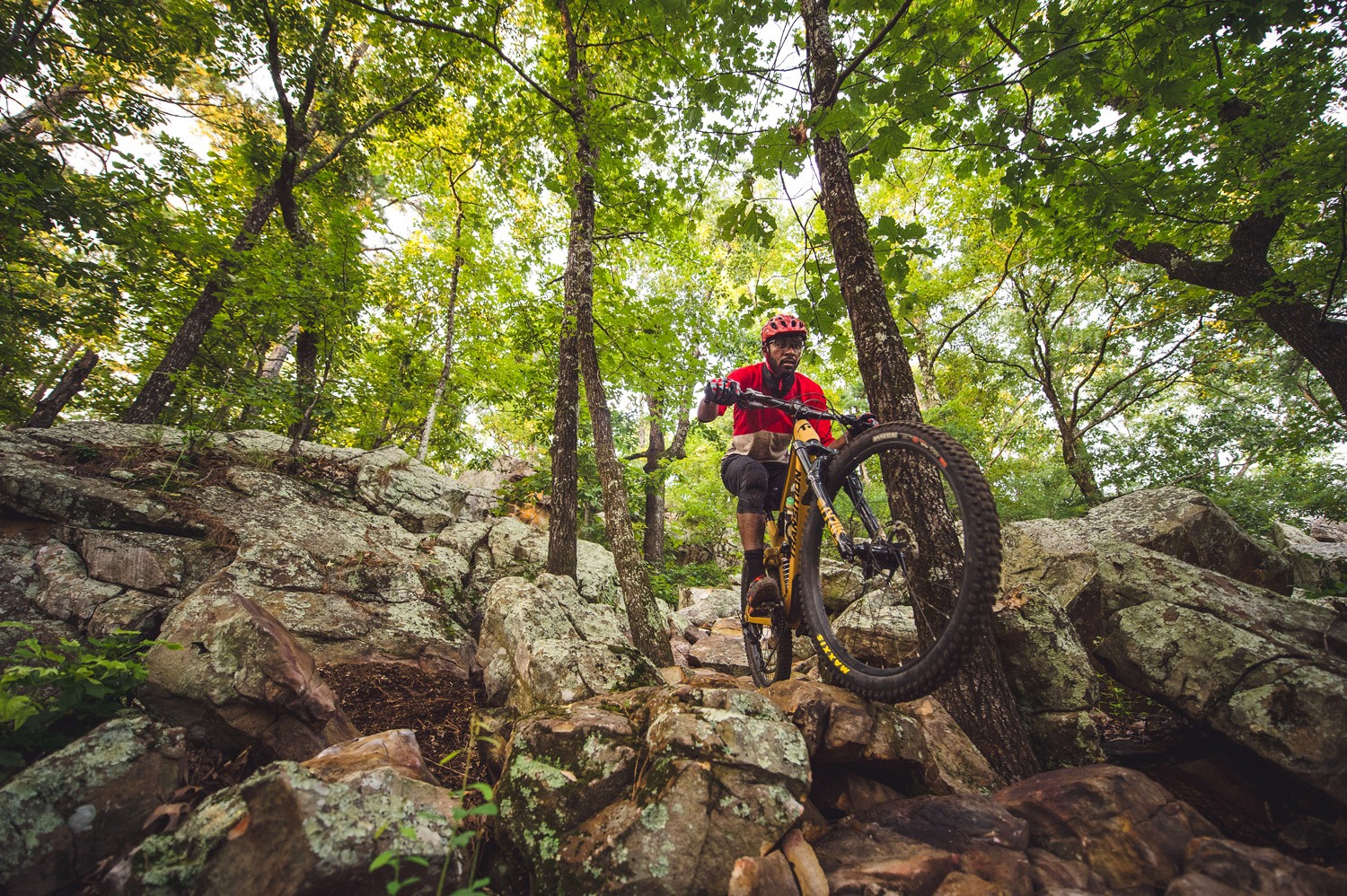 Arkansas State Parks